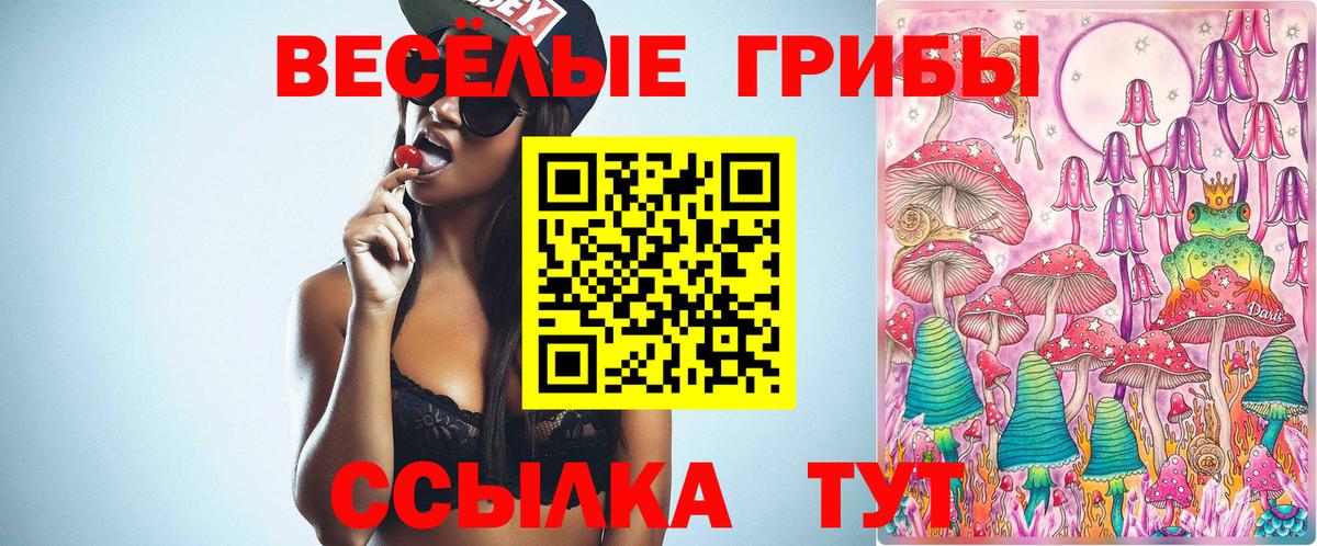 Галлюциногенные грибы мицелий Симферополь