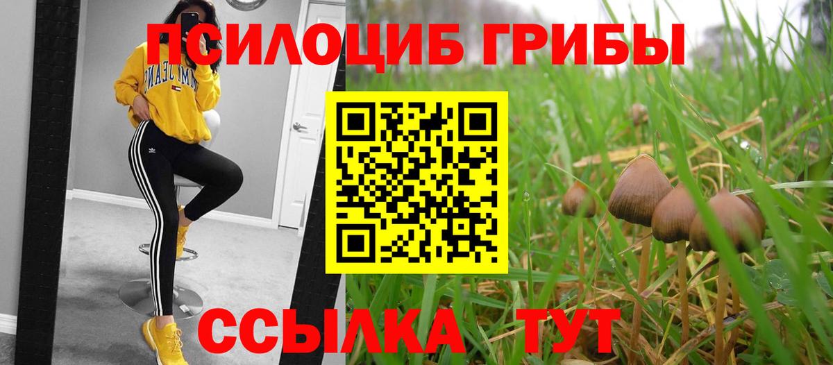 как найти   Галлюциногенные грибы GOLDEN TEACHER  Вход с VPN  Симферополь 